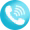 Phone Icon